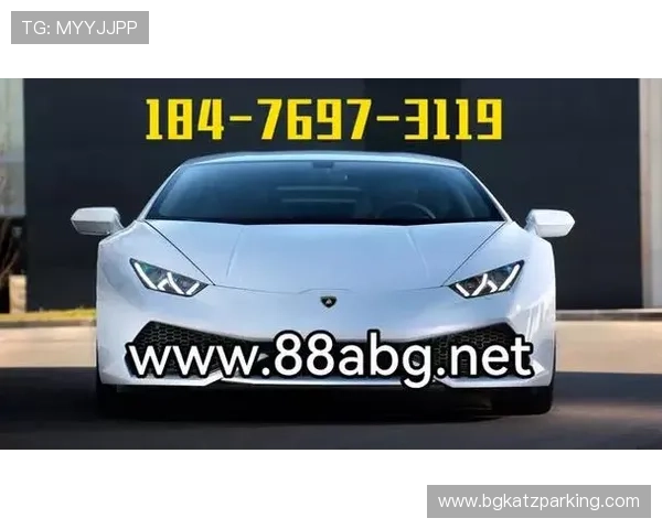 欧博网站是哪个国家的：欧博网站的国家归属对其信誉和服务范围的影响分析